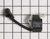 RH309261003